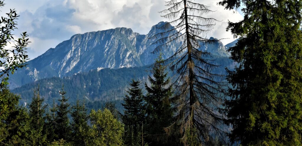 Tatry Zachodnie