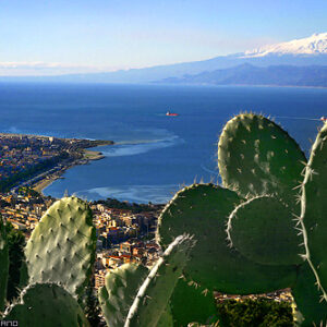 Reggio di Calabria