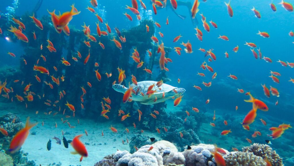 Pogoda Hurghada, Z czego słynie Hurghada?