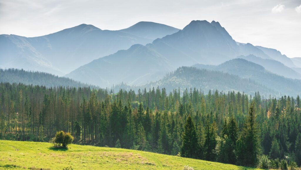 Murzasichle Poland, Murzasichle travel guide, Murzasichle attractions, Murzasichle accommodation, where to eat in Murzasichle, Murzasichle mountain view, Tatras travel blog, quiet places near Zakopane, best places to stay in Murzasichle, Podhale traditional food, Murzasichle winter holidays, Murzasichle summer vacation, Murzasichle restaurants, Murzasichle hotels, Murzasichle hiking trails