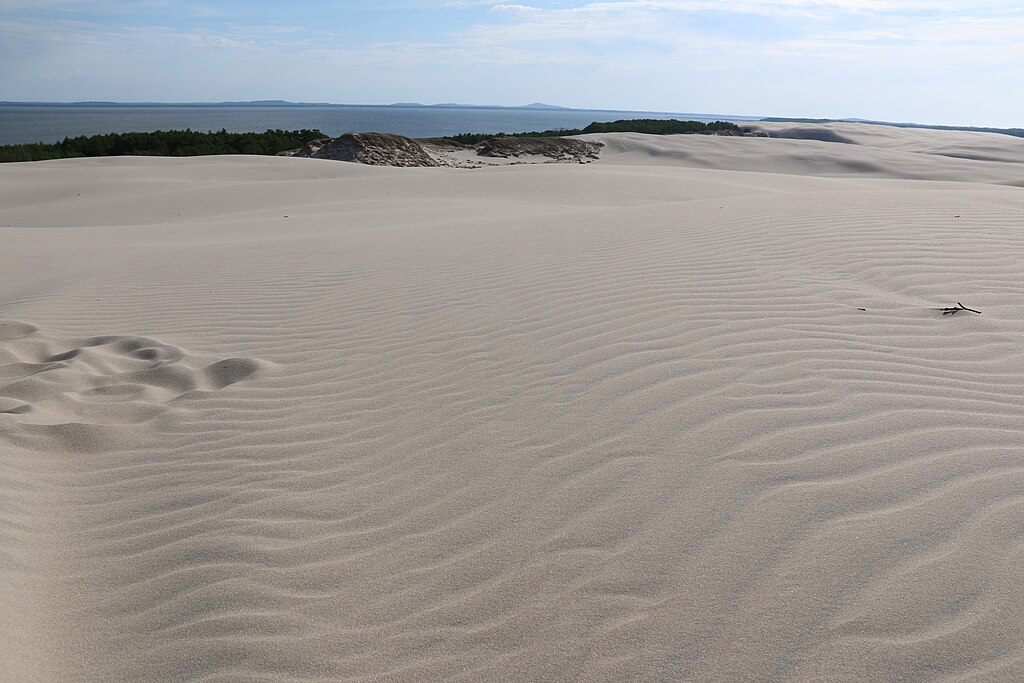 Jezioro Łebsko – najpiękniejsze przybrzeżne jezioro Pomorza – TOP 8 atrakcji