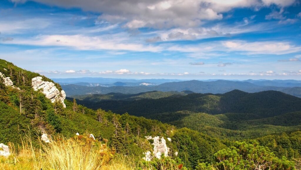 Park Narodowy Risnjak w Chorwacji