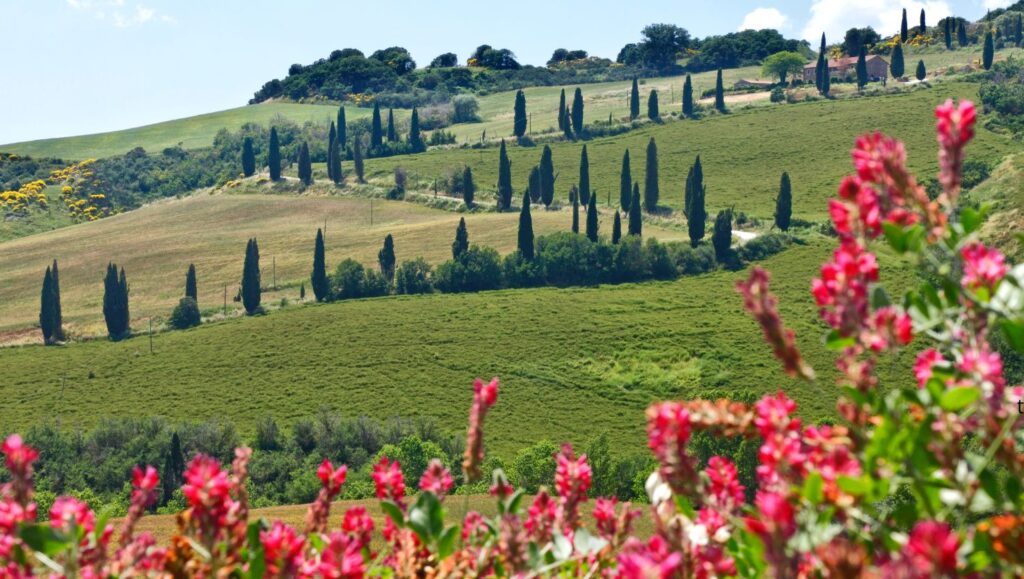 Kiedy jechać do Toskanii